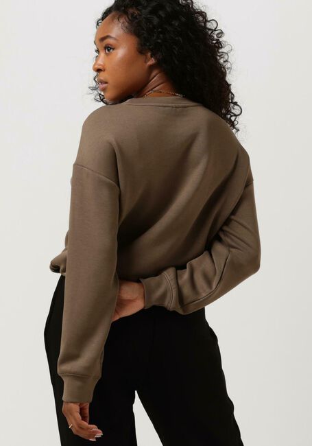 Bruine MSCH COPENHAGEN Sweater BIANNA IMA Q SWEATSHIRT - large