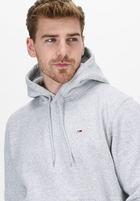 Lichtgrijze TOMMY JEANS Sweater TJM REGULAR FLEECE HOODIE - large