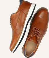 PS POELMAN ATOS PS POELMAN ATOS - medium