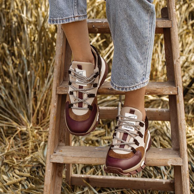 Beige TORAL Lage sneakers 11101 Beige TORAL Lage sneakers 11101 - large