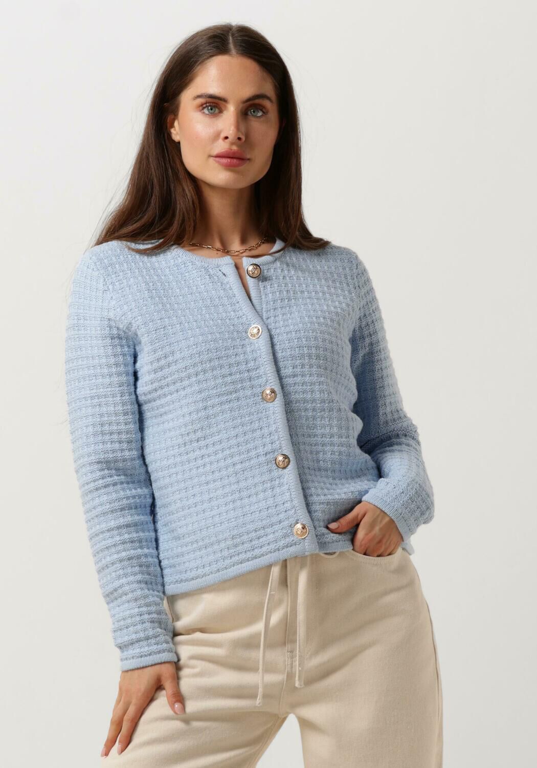 NEO NOIR Dames Truien & Vesten Limone Knit Jacket Lichtblauw