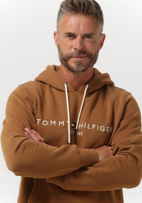Bruine TOMMY HILFIGER Sweater TOMMY LOGO HOODY - large