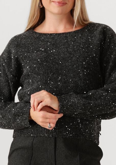 Donkergrijze JANSEN AMSTERDAM Trui ANOUK TRUI HK 151 ROUND NECKLINE - large
