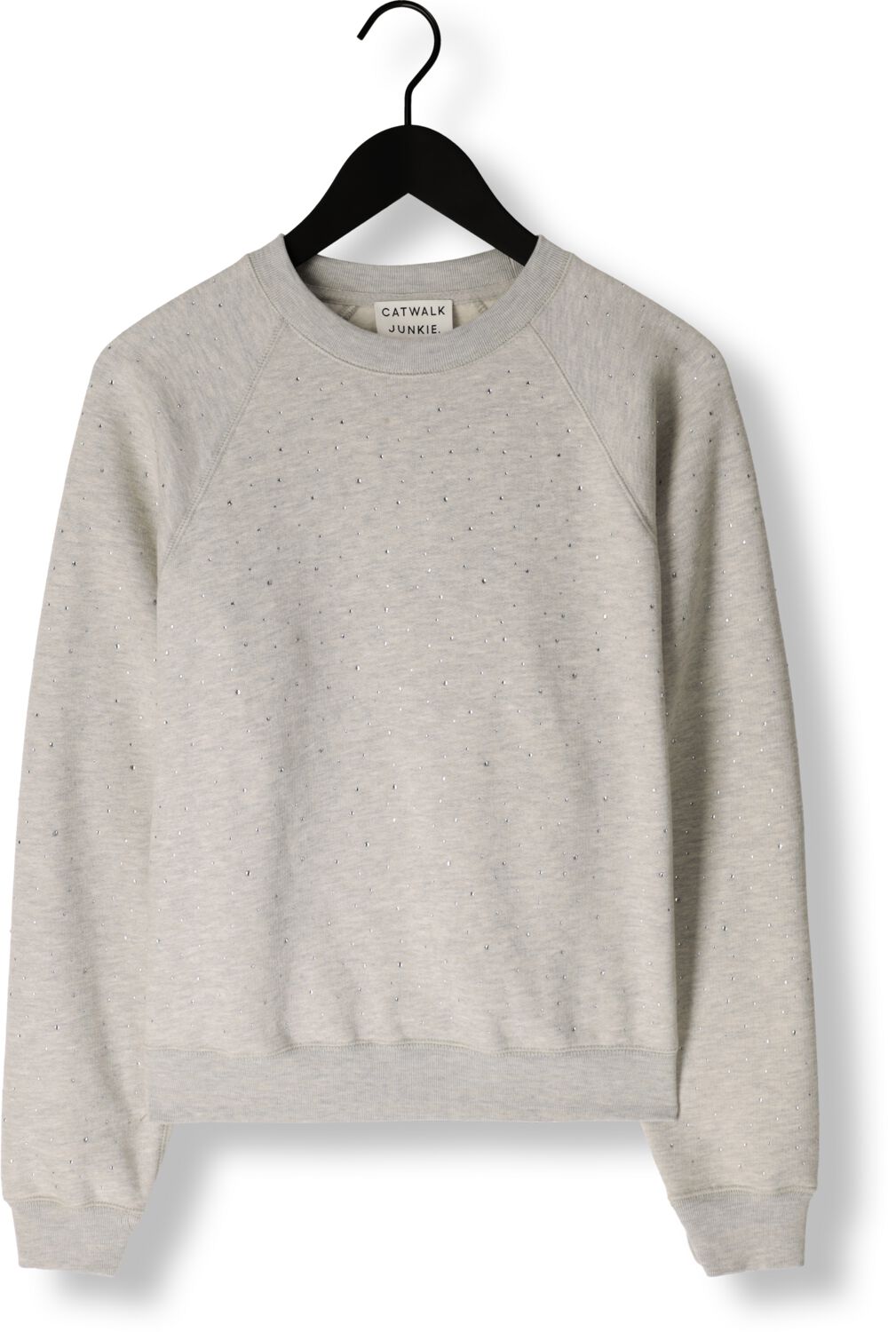 CATWALK JUNKIE Dames Truien & Vesten Relaxed Raglan Sleeve Sweater With Strass Grijs