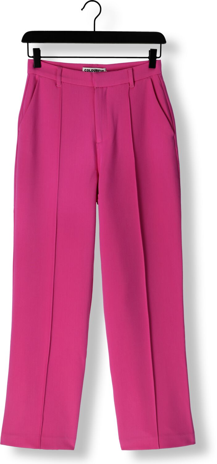 COLOURFUL REBEL Dames Broeken Rus Uni Straight Pants Roze