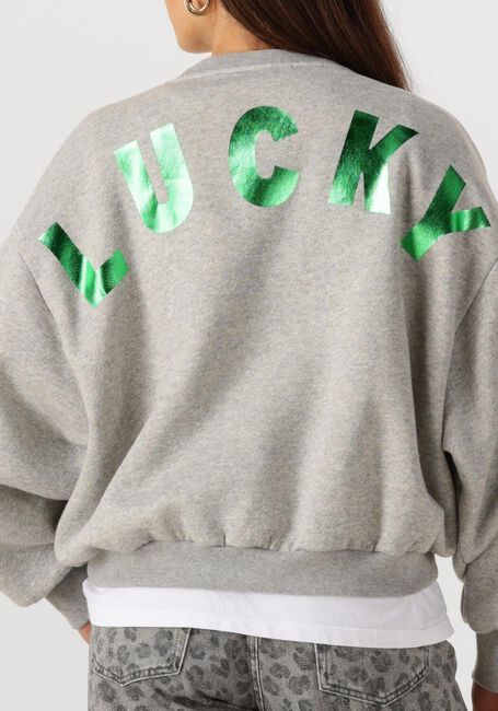 Grijze BY-BAR Trui BIBI LUCKY CURVE SWEATER - large