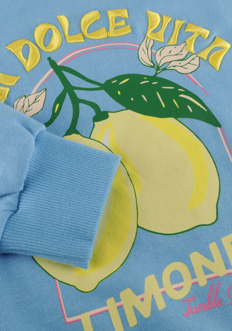 Blauwe TUMBLE 'N DRY Sweater VITAL - large