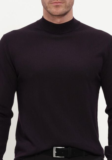 Bordeaux STEFANO LAURAN Trui TURTLE NECK MERINO - large