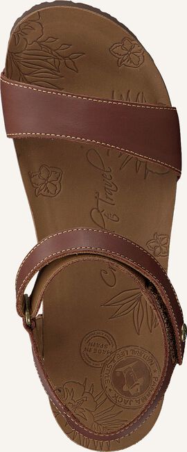 Bruine PANAMA JACK Platte sandalen CAPRI Bruine PANAMA JACK Platte sandalen CAPRI - large