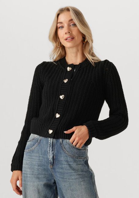 Zwarte FABIENNE CHAPOT Vest SUN CARDIGAN 1 - large