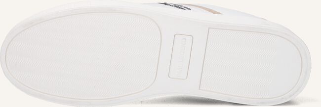 PME LEGEND ECLIPSE PME LEGEND ECLIPSE - large