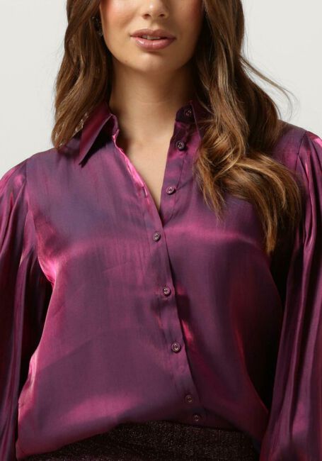 Bordeaux AAIKO Blouses DIANNE SHINE VIS 505 BLOUSES - large