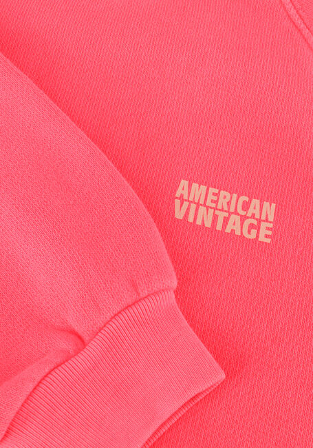 Roze AMERICAN VINTAGE Trui IZUBIRD - large