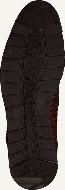Cognac HARRIS Lage sneakers 5339 Cognac HARRIS Lage sneakers 5339 - large