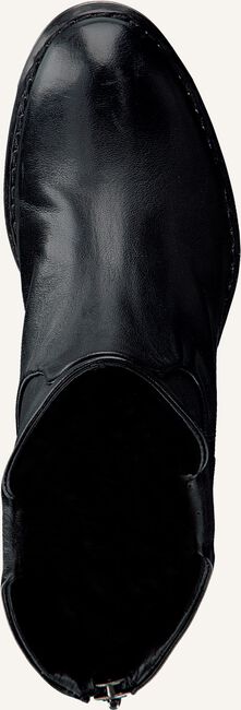 Zwarte CATARINA MARTINS Enkellaarsjes NOMAD BACK ZIP Zwarte CATARINA MARTINS Enkellaarsjes NOMAD BACK ZIP - large