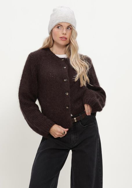Bruine INWEAR Trui JETRAIW CARDIGAN - large