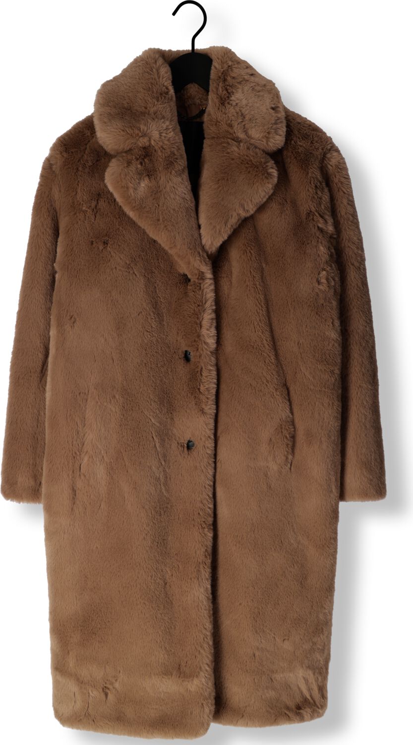GIACOMO THE JACKET Dames Jassen 6610940 Camel