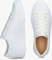 Witte BLACKSTONE Lage sneakers MAYNARD - medium
