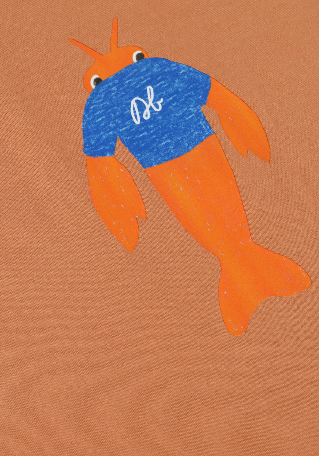 DAILY BRAT Jongens Polo's & T-shirts Crabby Crab T-shirt Oranje