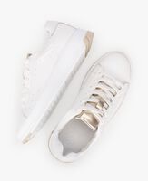 Witte PS POELMAN Lage sneakers BUCKLEY - medium