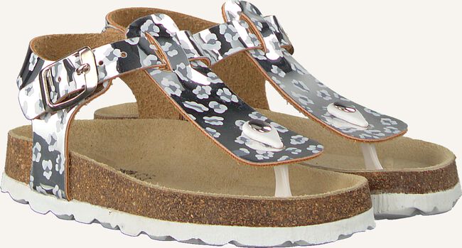 BRAQEEZ SAMMY SPAIN BRAQEEZ SAMMY SPAIN - large