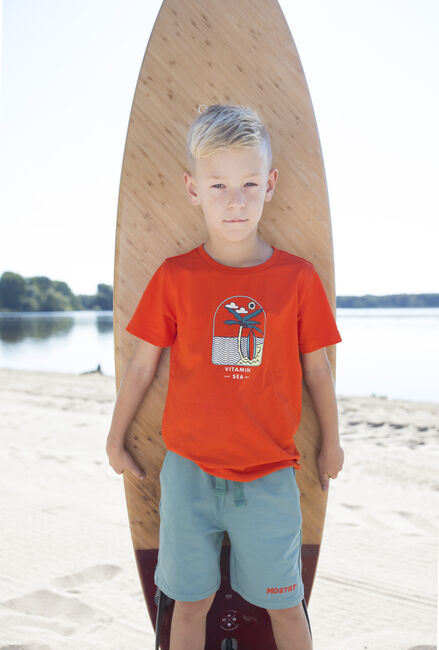 Oranje MOODSTREET T-shirt T-SHIRT WITH CHEST PRINT - large