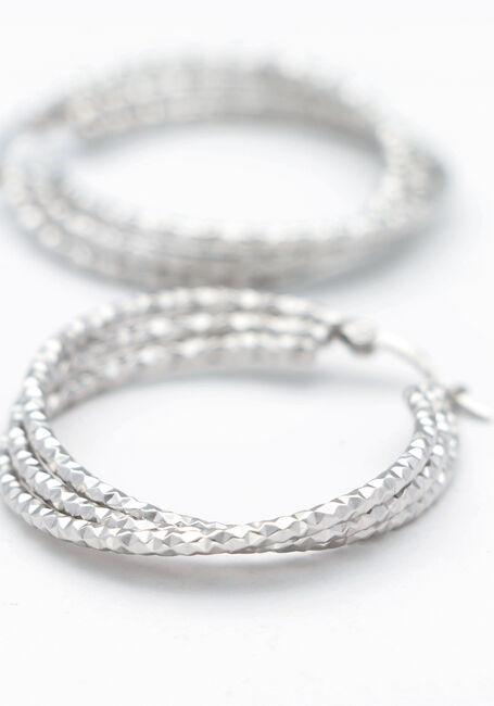 Zilverkleurig NOTRE-V Oorbellen EARRING DOUBLE RING - large