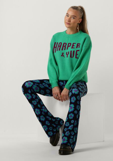 Groene HARPER & YVE Trui YVE-JU 1 Groene HARPER & YVE Trui YVE-JU 1 - large