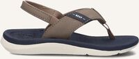 Taupe REEF Teenslippers SANTA ANA KIDS Taupe REEF Teenslippers SANTA ANA KIDS - medium