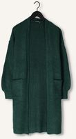 Groene JANSEN AMSTERDAM Vest KLEA Groene JANSEN AMSTERDAM Vest KLEA - medium