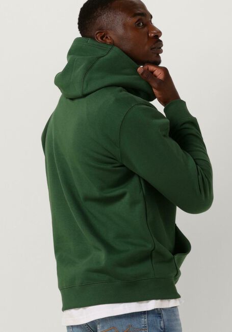 Donkergroene TOMMY JEANS Sweater REGULAR FLEECE HOODIE - large