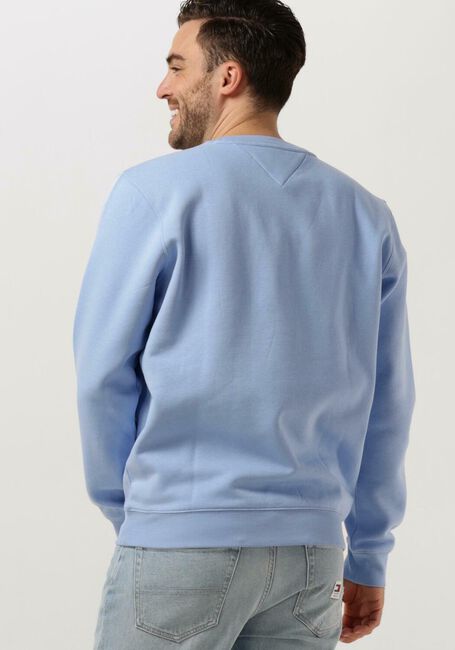 Blauwe TOMMY JEANS Trui TJM REGULAR FLEECE C NECK - large