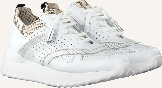 Witte NOTRE-V Lage sneakers AG283 Witte NOTRE-V Lage sneakers AG283 - large