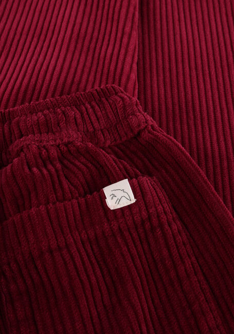 Bordeaux JENEST Wijde broek COMFY PANTS - large