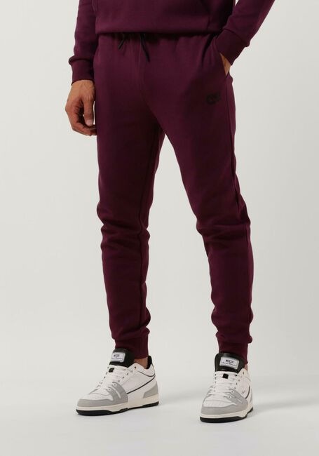 Bordeaux CRUYFF Joggingbroek JOAQUIM PANT - large
