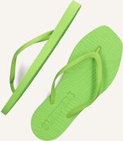 Groene SLEEPERS Teenslippers TAPERED Groene SLEEPERS Teenslippers TAPERED - medium