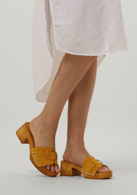 NOTRE-V 8657 NOTRE-V 8657 - large