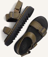 Groene DR MARTENS Sandalen KYLE K Groene DR MARTENS Sandalen KYLE K - medium