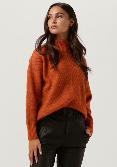 Roest SELECTED FEMME Coltrui SIF SISSE LS KNIT HIGHNECK - large