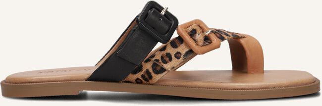 Camel NOTRE-V Teenslippers 979005 Camel NOTRE-V Teenslippers 979005 - large