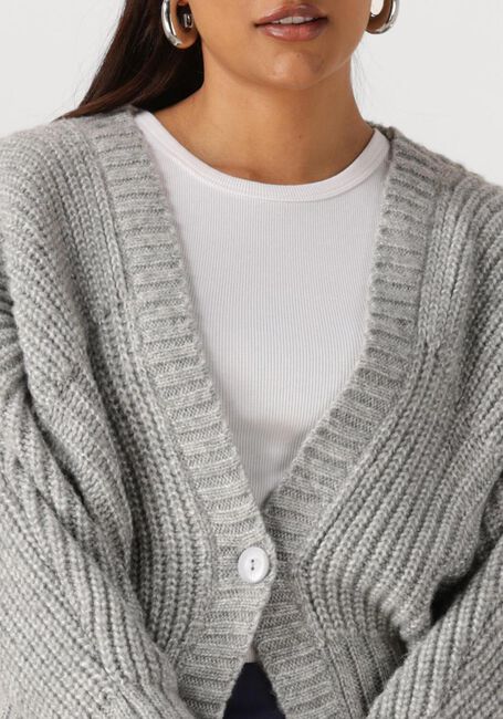 Grijze NUKUS Trui JOLIJN CARDIGAN - large