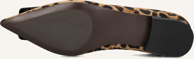 Bruine BIBI LOU Ballerina's 610Z91VK Bruine BIBI LOU Ballerina's 610Z91VK - large