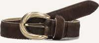 Bruine NOTRE-V Riem 4311 Bruine NOTRE-V Riem 4311 - medium