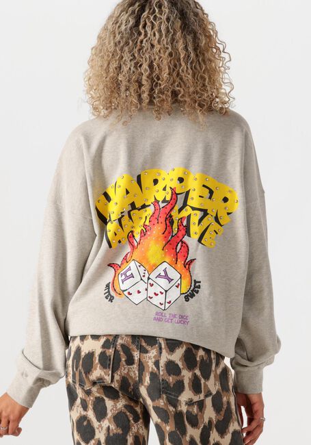 Grijze HARPER & YVE Sweater ROLLTHEDICE-SW - large