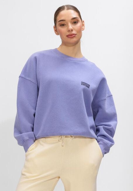 Paarse AMERICAN VINTAGE Sweater PLIZZY - large