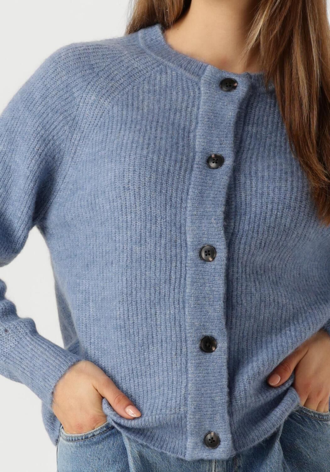 SELECTED FEMME Dames Truien & Vesten Slflulu Ls Knit Short Cardigan Blauw