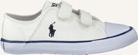 Witte POLO RALPH LAUREN Lage sneakers DARIAN EZ - medium