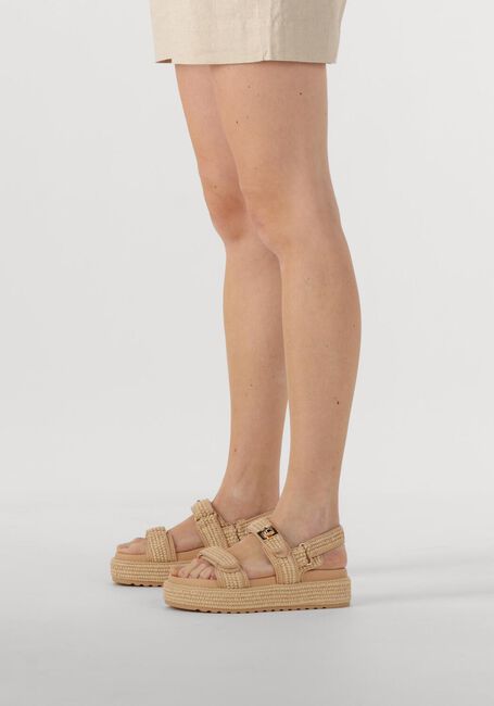 Beige STEVE MADDEN Platte sandalen BIGMONA - large