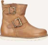 Cognac PINOCCHIO Biker boots P2124 Cognac PINOCCHIO Biker boots P2124 - medium