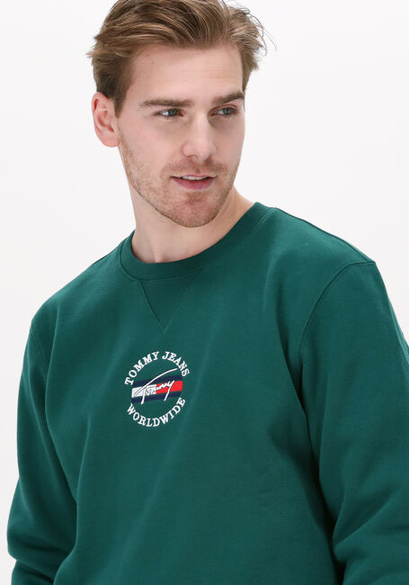 Groene TOMMY JEANS Sweater TJM TIMELESS TOMMY 2 CREW - large